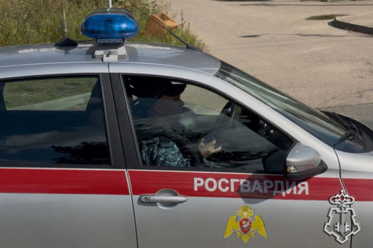 В Тверской области Росгвардейцы предотвратили кражу