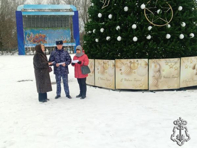 Росгвардейцы провели профилактические беседы с гражданами в рамках акции «Безопасный Новый год» в Тверской области