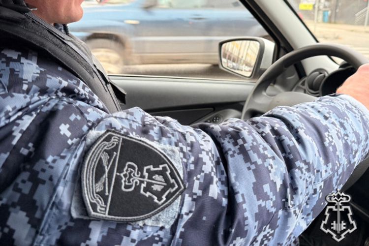 В Тверской области за последнюю неделю апреля сотрудники росгвардии совершили более 310 выездов для обеспечения общественного порядка