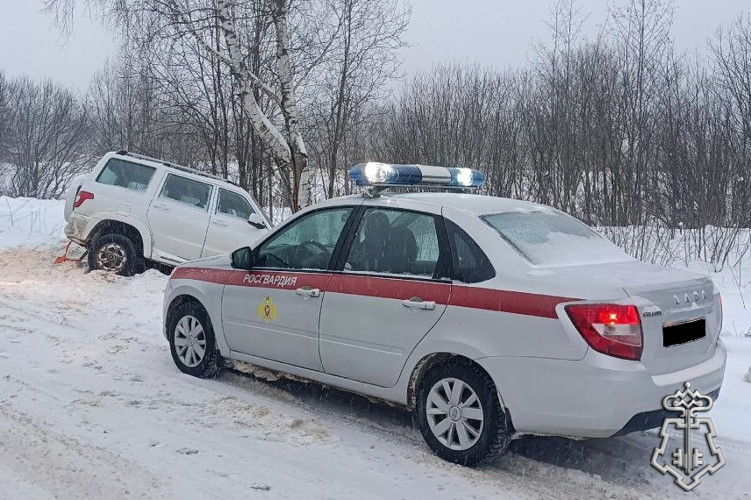 Сотрудники Росгвардии помогли вызволить автомобиль из снежного плена