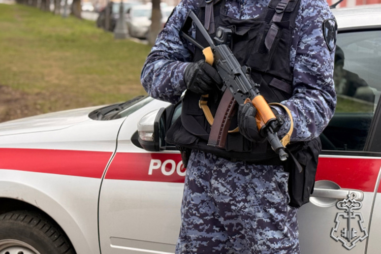 ЗА ПРОШЕДШУЮ НЕДЕЛЮ РОСГВАРДЕЙЦЫ ДЛЯ ОБЕСПЕЧЕНИЯ БЕЗОПАСНОСТИ ГРАЖДАН СОВЕРШИЛИ БОЛЕЕ 260 ВЫЕЗДОВ