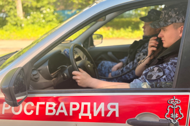 По итогам прошедшей недели сотрудники Росгвардии совершили более 270 выездов 