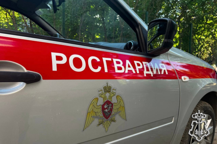 Росгвардейцы задержали подозреваемого в совершении кражи в Тверской области