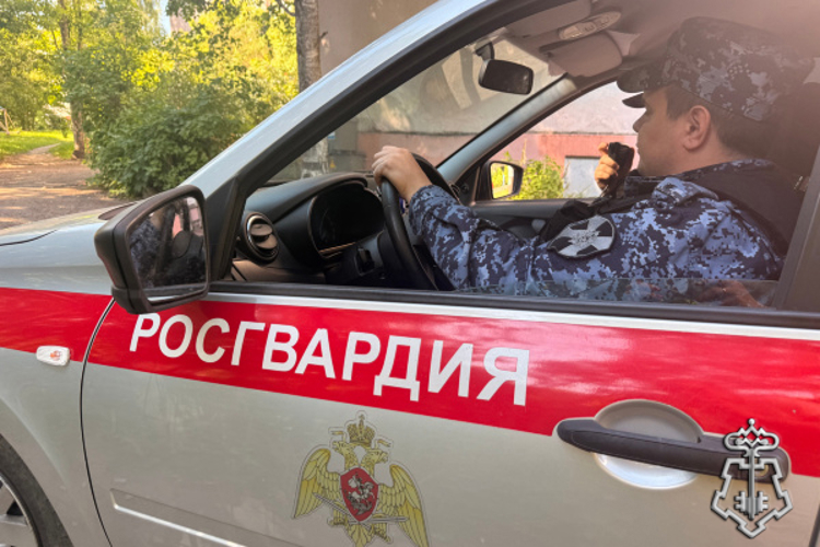 За последние 168 часов сотрудники росгвардии в Твери для обеспечения безопасности граждан совершили более 280 выездов